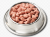 Photo for Global Frozen and Freeze-Dried Pet Food Market 2017 Forecast to 2022