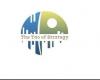 Photo for The Tao of Strategy