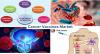 Photo for Cancer Vaccine Market - Global Industry Insights, Size, Trends, Outlook, and Analysis, 2017-2025