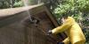 Photo for CleanSlate Pressure Washing Inc