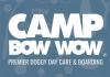 Photo for Camp Bow Wow