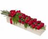 Photo for Special Flowers in the Month of February