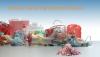 Photo for Proper Medical Waste Management In Developed And Emerging Economies Is Expected To Fuel Growth Of The Medical Waste Management Market