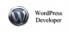 Photo for Hire Wordpress Developers In India