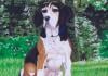 Photo for Linda's Pet Portraits - beautiful oil paintings, animal paintings, dog portraits, and pet portraits from photos -  02351