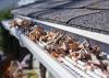 Photo for Roofing Cleveland
