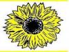 Photo for Sunflower State Exteriors LLC