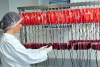 Photo for Global Blood Banking Market Forecast to 2022