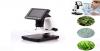 Photo for Digital Microscopes Market to Surpass US$ 393.0 Million Threshold by 2025
