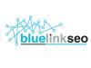 Photo for Blue Link SEO