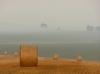 Photo for West Texas Hay Sales Wichita Falls