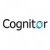 Photo for Web, Mobile & Software Development Company Chicago - New York