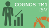 Photo for How to Become a IBM Cognos TM1  Master