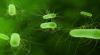Photo for Antimicrobial Additives Market Future and Outlook 2024