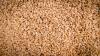 Photo for Sesame Seeds Market Size, Application Analysis, Regional Outlook, Competitive Strategies And Forecasts, 2025