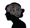 Photo for https://brainfireadvice.com/sg-11-brain/