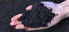 Photo for Biochar Market: Global Industry Analysis, Size, Share, Growth, Trends, and Forecasts 2016–2024
