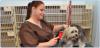 Photo for Pet Boarding Katy TX