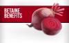 Photo for Betaine Market: known as trimethylglycine-methyl derivative Grow at a CAGR of 4% reported