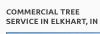 Photo for Elkhart Tree Company