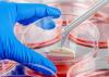 Photo for Development Of Novel Therapy To Drive Growth Of The Cell Line Development Market