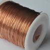 Photo for Pure Copper Wire Market 2022 Global Market Income, Shares and competitive landscape.