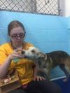 Photo for Jazzy's Pet Care