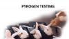 Photo for Pyrogen Testing Market — Global Opportunity Analysis, 2016–2024