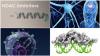 Photo for HDAC Inhibitors Market – Global Industry Insights, Trends, and Opportunity Analysis, 2025