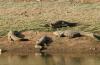 Photo for Know Where to Go – Jawai Trip Organiser