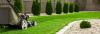 Photo for Steven Hudson Tree and Landscaping Service