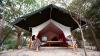 Photo for Safari Camps in Rajasthan