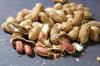 Photo for Peanuts Market- Importing countries and manufacturer are Olam International, Kraft Foods Inc. , Hampton Farms, Inc, Star Snacks Co., LLC, Virginia Diner