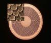 Photo for Superconducting Wire Market 2018: Industry Analysis and Detailed Profiles of top Industry Players, Forecast to 2022.