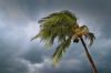 Photo for Ways to Get Prepared For a Natural Disaster