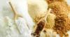 Photo for Research delivers insight into the Global Natural Alternative Sweeteners Market forecast to 2025