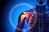Photo for Orthobiologics Market - Global Industry Insights, 2017-2025