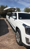 Photo for AO Limousine
