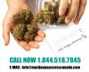 Photo for Marijuana Medical Clinic has Specialist Doctors