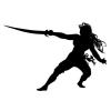Photo for The Art of the Swashbuckler
