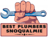 Photo for Best Plumbers Snoqualmie