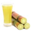 Photo for Asia-Pacific Sugar Cane Market Report 2018