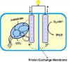 Photo for Global Microbial Fuel Cell Market Size to Observe Significant Growth during 2022
