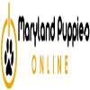 Photo for Maryland Puppies Online