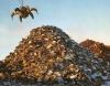 Photo for The Impact of Digital Transformation on the Waste Recycling Industry