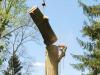 Photo for Appleton Tree Service WI