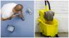 Photo for DeSha'z Janitorial and Commercial Cleaning
