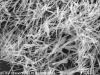 Photo for Nanowires market: Supply power to various kind of vessels, auxiliary equipment and generators