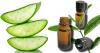Photo for Where To Get Pure Tea Tree Oil