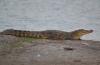 Photo for Holiday Places Near Ahmedabad